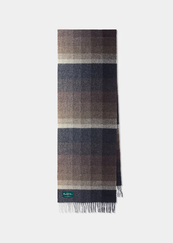 Bradfield Faded Stripe Scarf in Brown